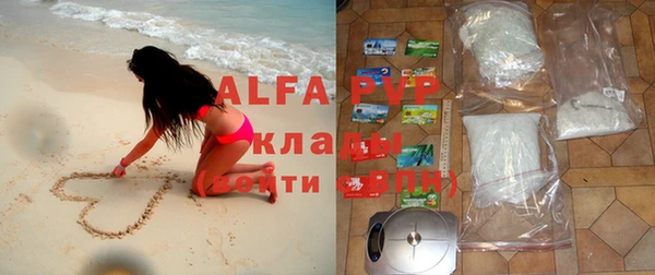 сатива Алзамай