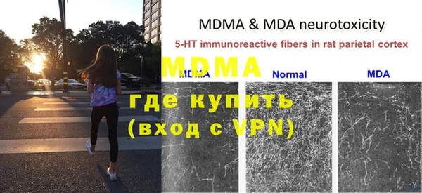 мяу мяу мука Алексеевка
