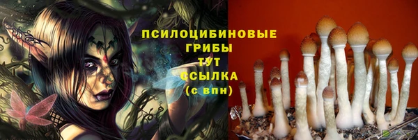 герыч Алексин