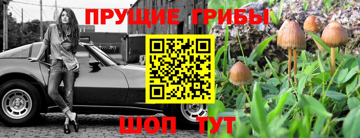 Куйбышев  Галлюциногенные грибы Psilocybine cubensis  Вход с VPN 