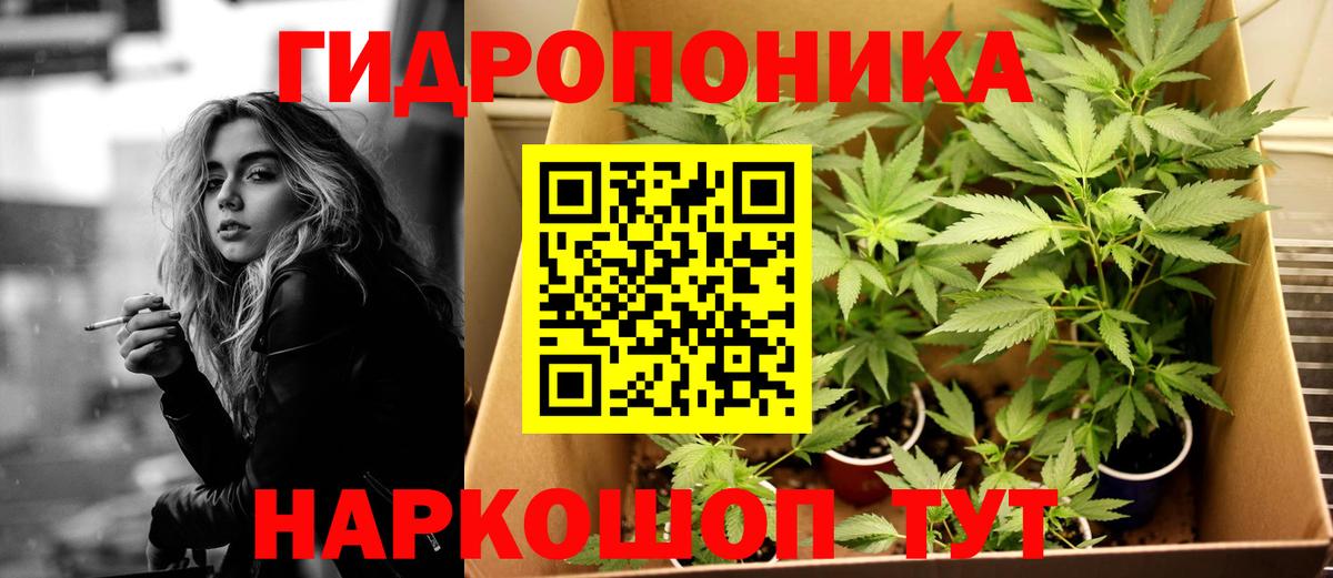 Бошки марихуана план  Канабис White Widow  Куйбышев  Вход с VPN  Бошки марихуана Amnesia 